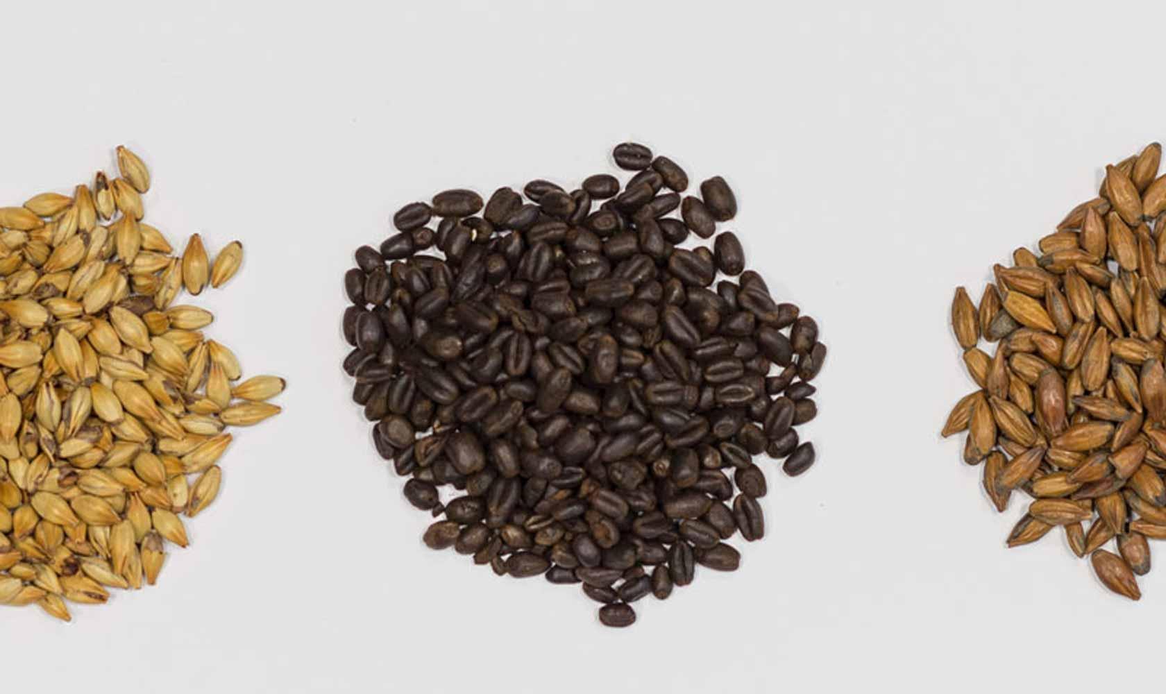 Brewing & Fermentation Science Pennsylvania College of Technology